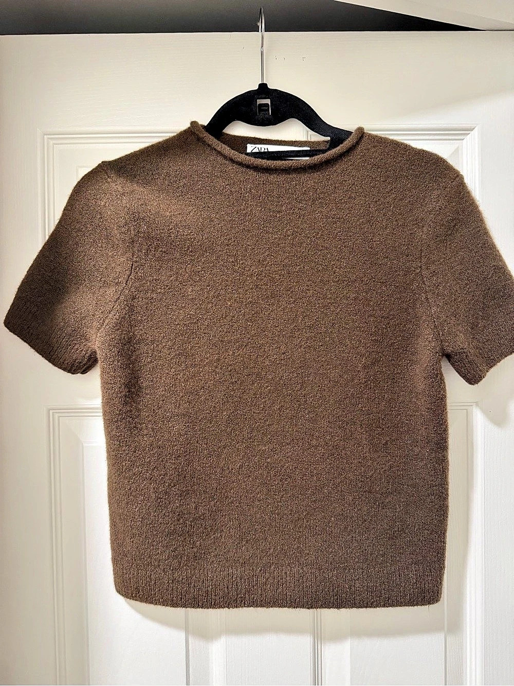 Zara Crew Neck Sweater in Brown